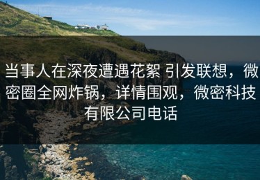 当事人在深夜遭遇花絮 引发联想，微密圈全网炸锅，详情围观，微密科技有限公司电话