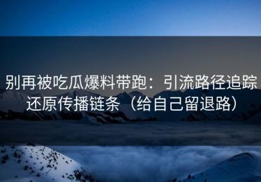 别再被吃瓜爆料带跑：引流路径追踪还原传播链条（给自己留退路）