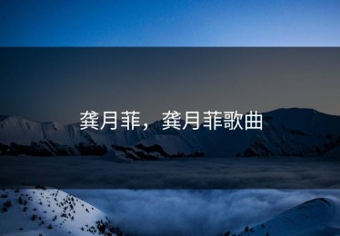 龚月菲，龚月菲歌曲