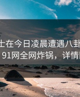业内人士在今日凌晨遭遇八卦 刷屏不断，91网全网炸锅，详情围观