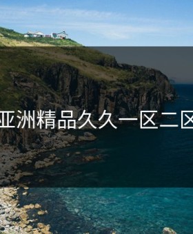 国产亚洲精品久久一区二区三区