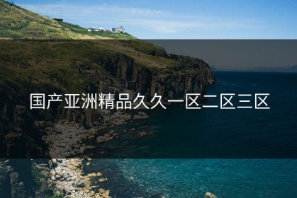 国产亚洲精品久久一区二区三区