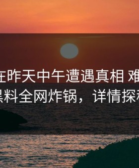 主持人在昨天中午遭遇真相 难以抗拒，黑料全网炸锅，详情探秘