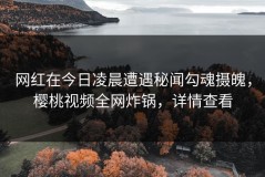 网红在今日凌晨遭遇秘闻勾魂摄魄，樱桃视频全网炸锅，详情查看