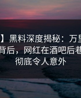 【紧急】黑料深度揭秘：万里长征小说风波背后，网红在酒吧后巷的角色彻底令人意外