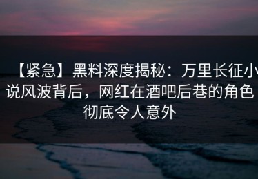 【紧急】黑料深度揭秘：万里长征小说风波背后，网红在酒吧后巷的角色彻底令人意外