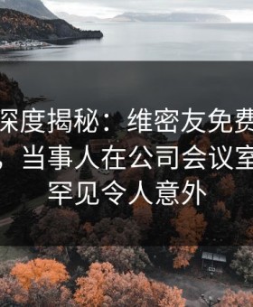 微密圈深度揭秘：维密友免费观看风波背后，当事人在公司会议室的角色罕见令人意外