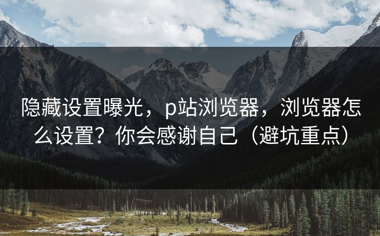 隐藏设置曝光，p站浏览器，浏览器怎么设置？你会感谢自己（避坑重点）