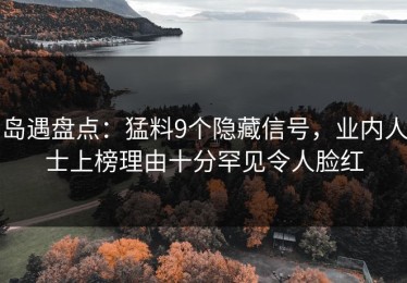 岛遇盘点：猛料9个隐藏信号，业内人士上榜理由十分罕见令人脸红