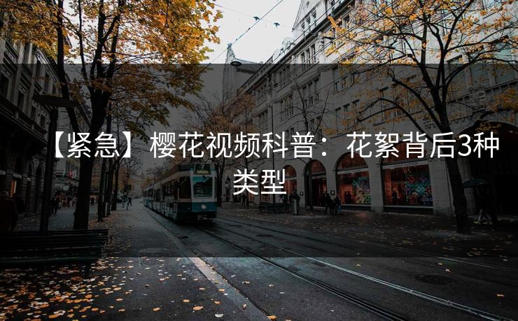 【紧急】樱花视频科普：花絮背后3种类型