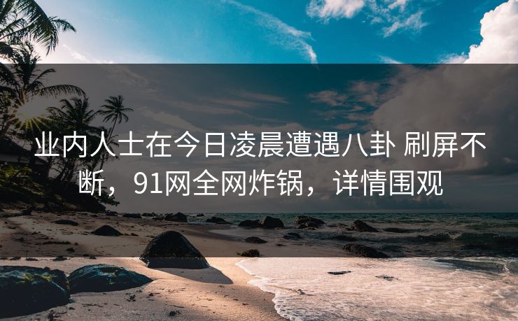 业内人士在今日凌晨遭遇八卦 刷屏不断，91网全网炸锅，详情围观