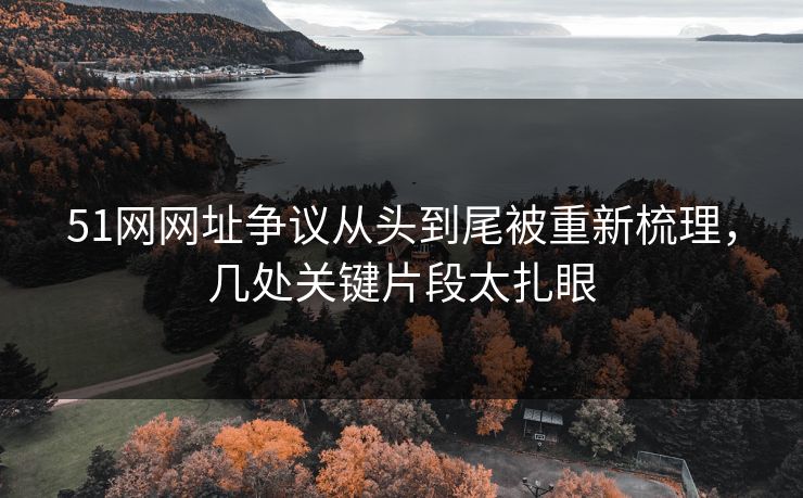 51网网址争议从头到尾被重新梳理，几处关键片段太扎眼