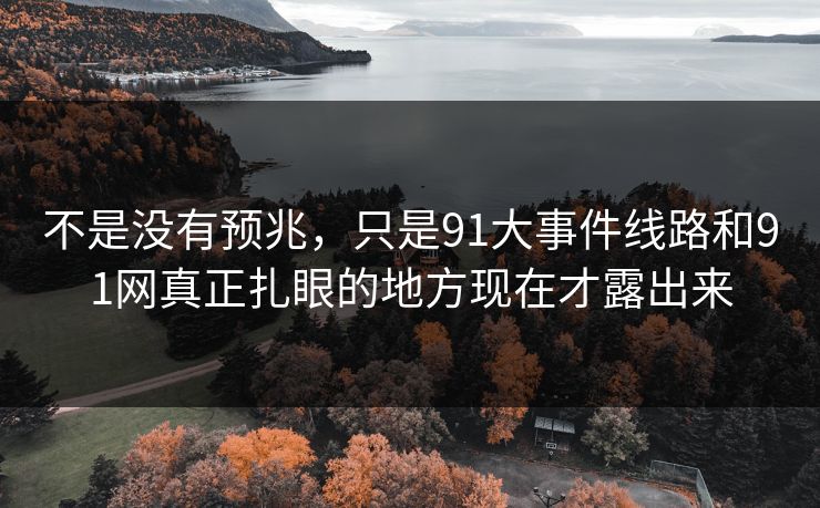 不是没有预兆，只是91大事件线路和91网真正扎眼的地方现在才露出来